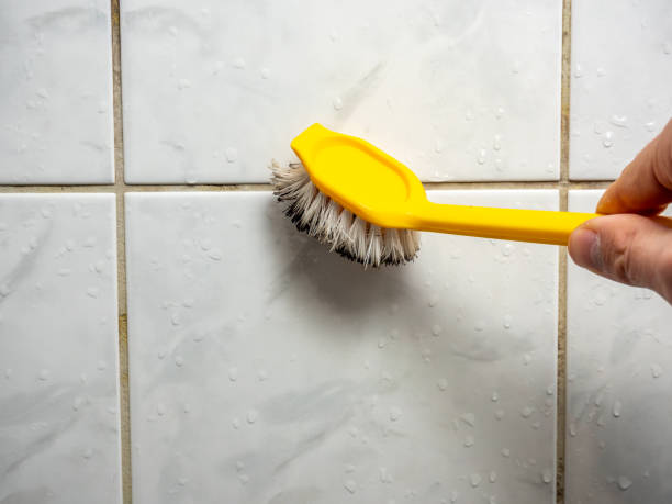 Best Mold Removal Near Me  in Plymouth, MI