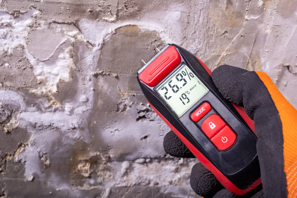 Best Attic Mold Removal  in Plymouth, MI