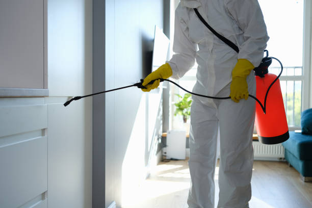 Best Toxic Mold Removal  in Plymouth, MI